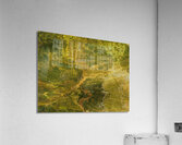 Palm Burst Rays II Acrylic Print