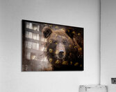 North American Brown Bear Impression acrylique