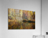 Birch Cabin Lake Reflections Acrylic Print
