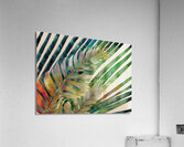 Tropical Palms I Acrylic Print