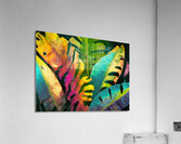 Banana Tree II Acrylic Print