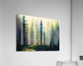 Fir Tree Forest Acrylic Print
