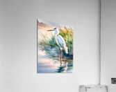 Egret Pose Impression acrylique