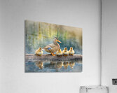 The Mallard Family Portrait Impression acrylique