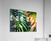 Philodendron Fronds I Acrylic Print