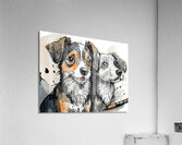 Puppy Pals Acrylic Print