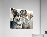 Barking Besties Acrylic Print