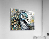 Preening Peacock Acrylic Print