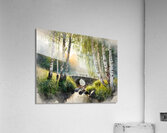 Birch Glen Stone Bridge Acrylic Print