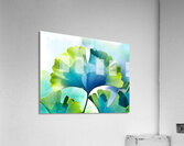 Ginkgo Biloba I Acrylic Print