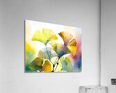 Ginkgo Biloba III Acrylic Print