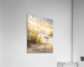 The Sandpiper Shoreline Impression acrylique