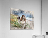 Shore Patrol Acrylic Print