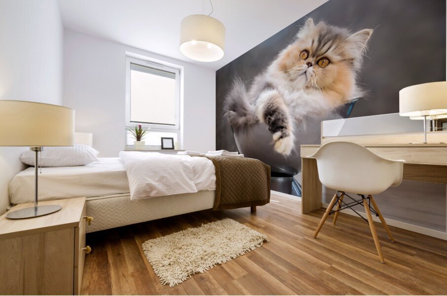 Just Getting Comfy Mural print