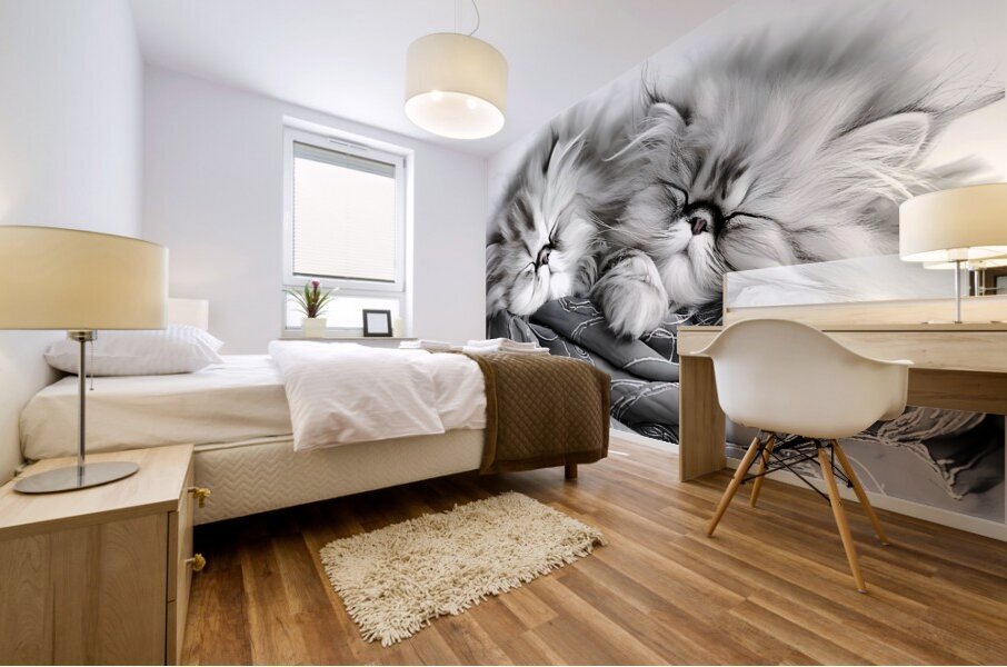 Sweet Dreams Kittens Impression murale