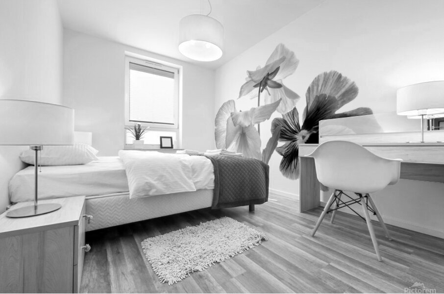 Spring Pansies in Black and White Impression murale