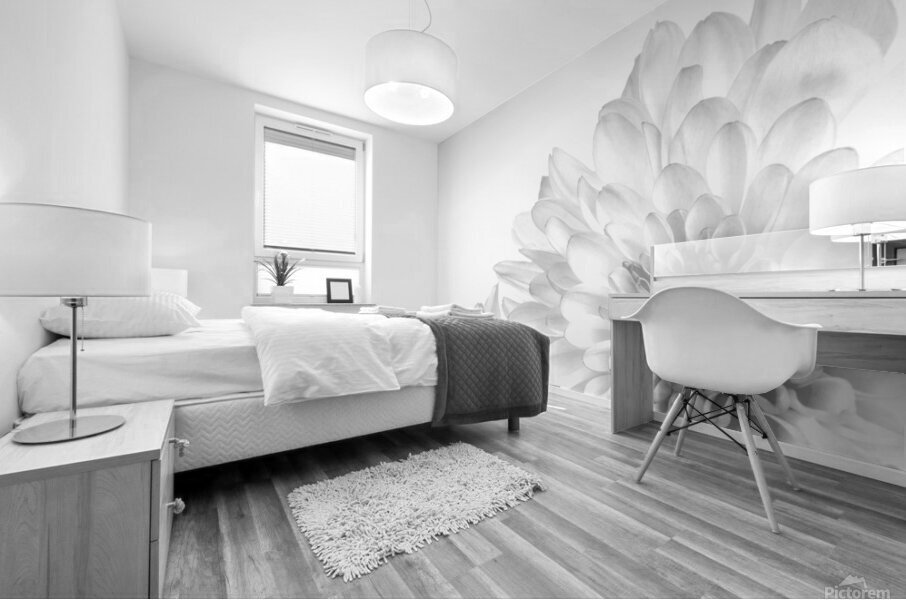 Chrysanthemum in Black & White Mural print