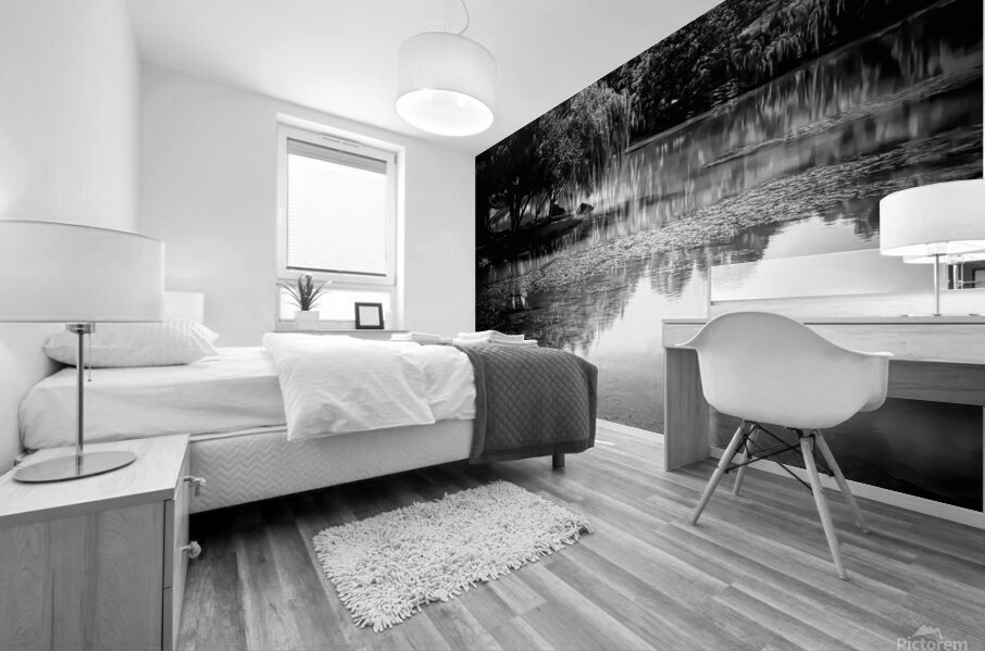 Willow Water Reflections Mural print