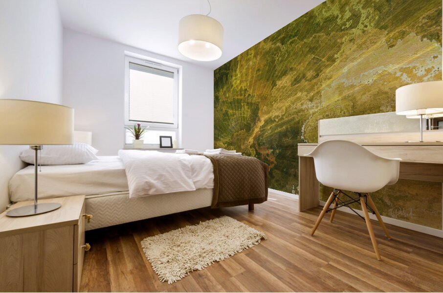 Palm Burst Rays II Mural print