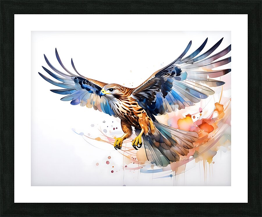 Hawk In Flight Ink Wash Picture Frame print