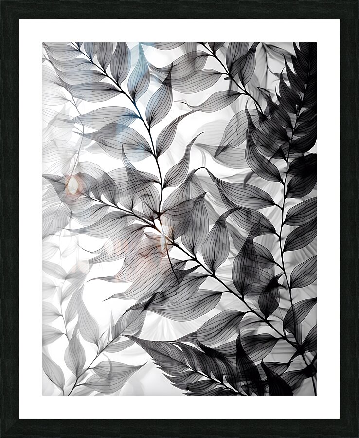 Tropical Tranparencies IV Impression et Cadre photo