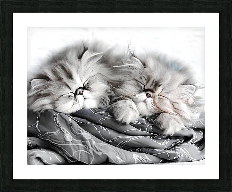 Sweet Dreams Kittens Impression et Cadre photo