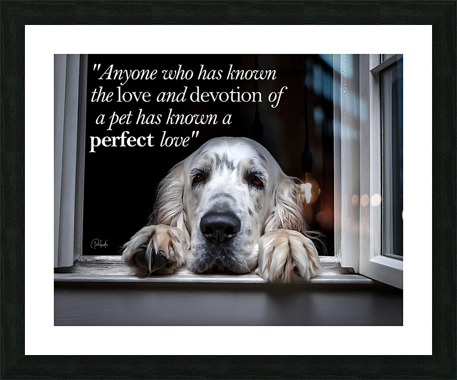 A Perfect Love Picture Frame print