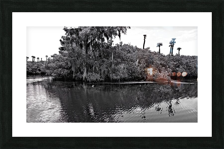 Find The Turtle Picture Frame print