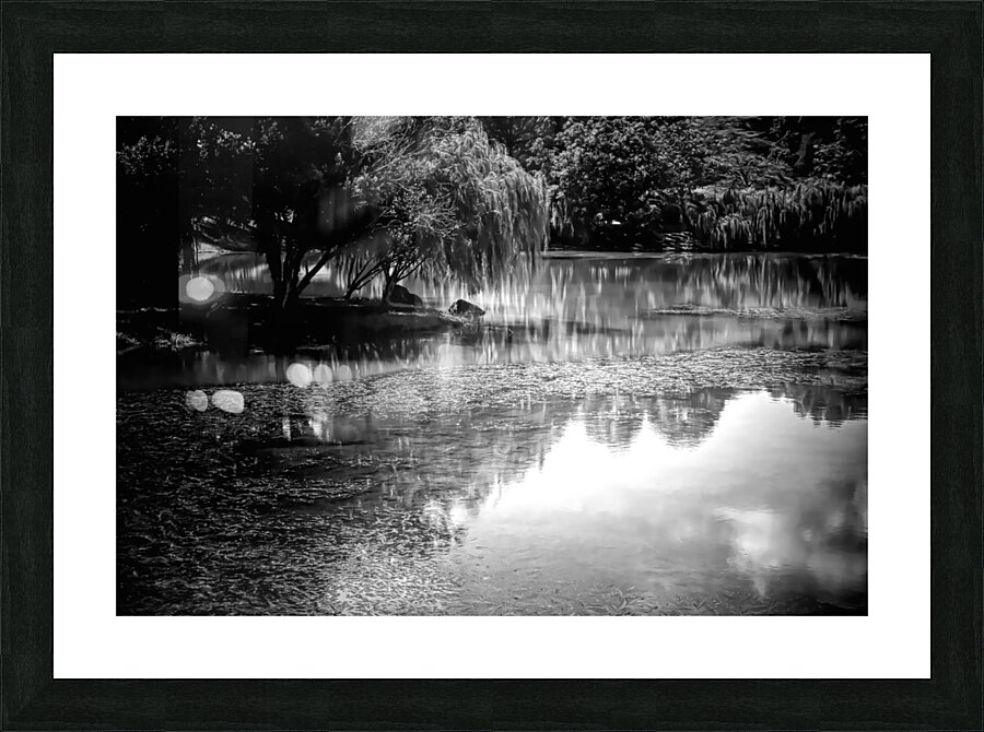 Willow Water Reflections Picture Frame print