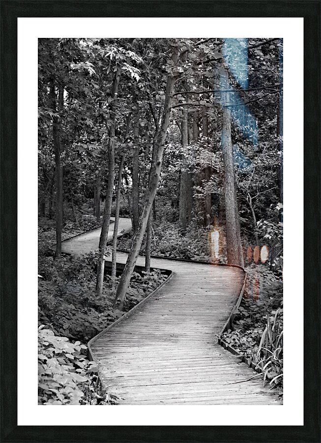 The Wooden Path Picture Frame print