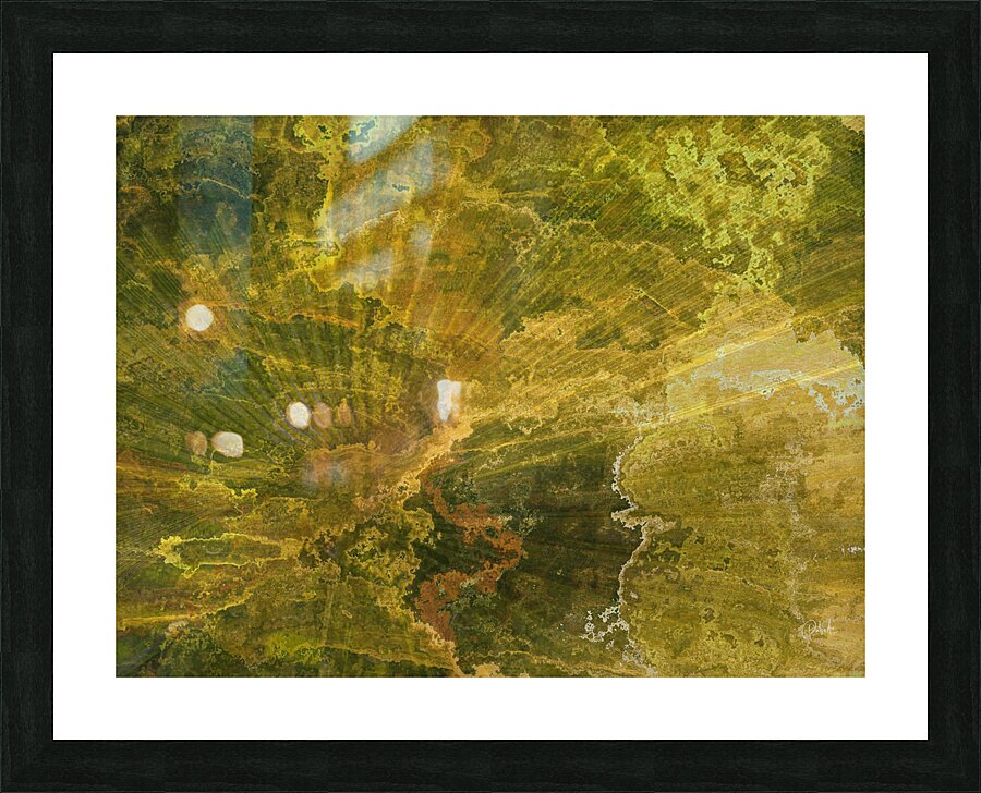 Palm Burst Rays II Picture Frame print