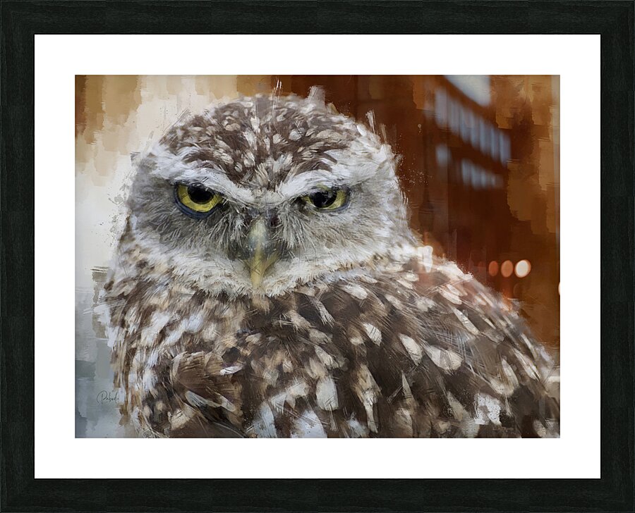 Burrowing Owl Portrait Picture Frame print