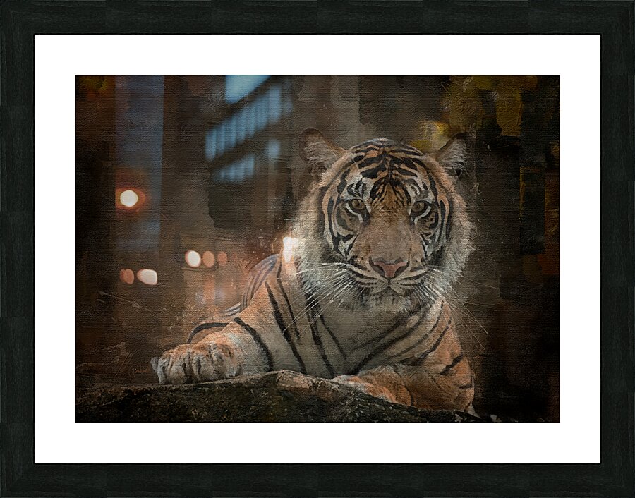 Siberian Tiger Portrait Picture Frame print