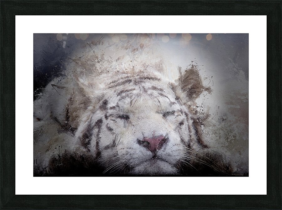 Sleepy White Tiger Picture Frame print