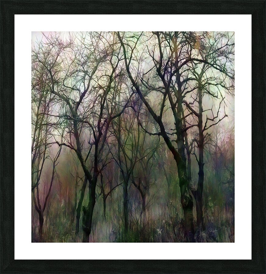 Finding Winter Colors Picture Frame print