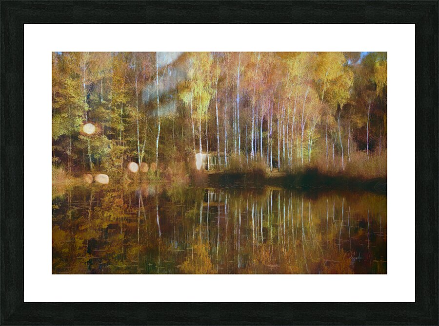 Birch Cabin Lake Reflections Picture Frame print