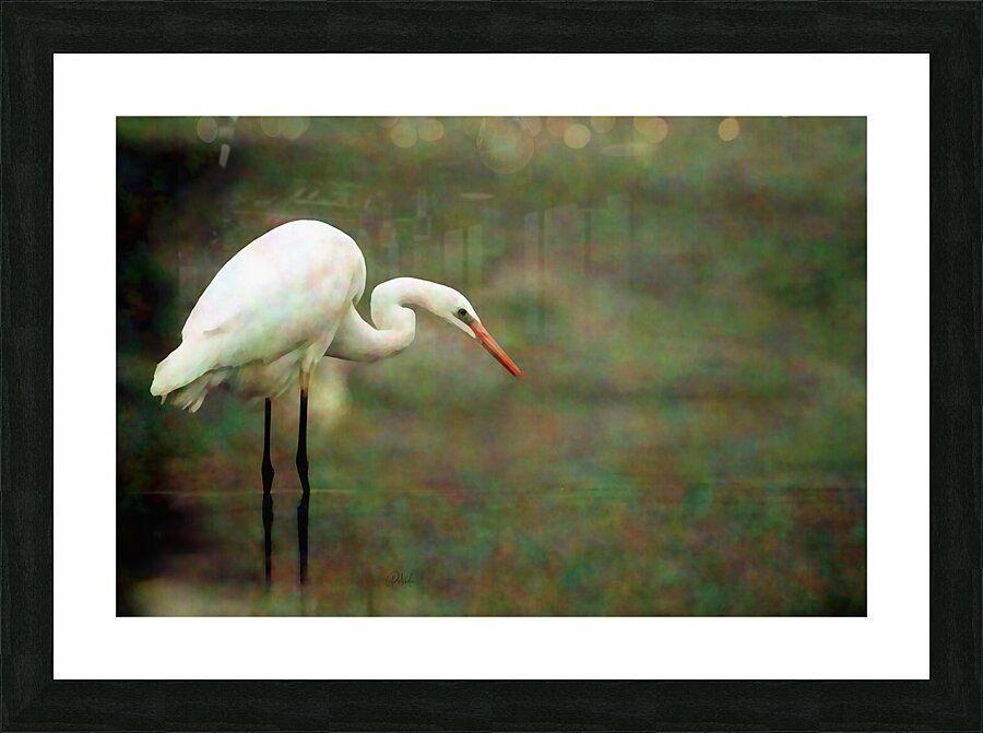 Egret Impression et Cadre photo
