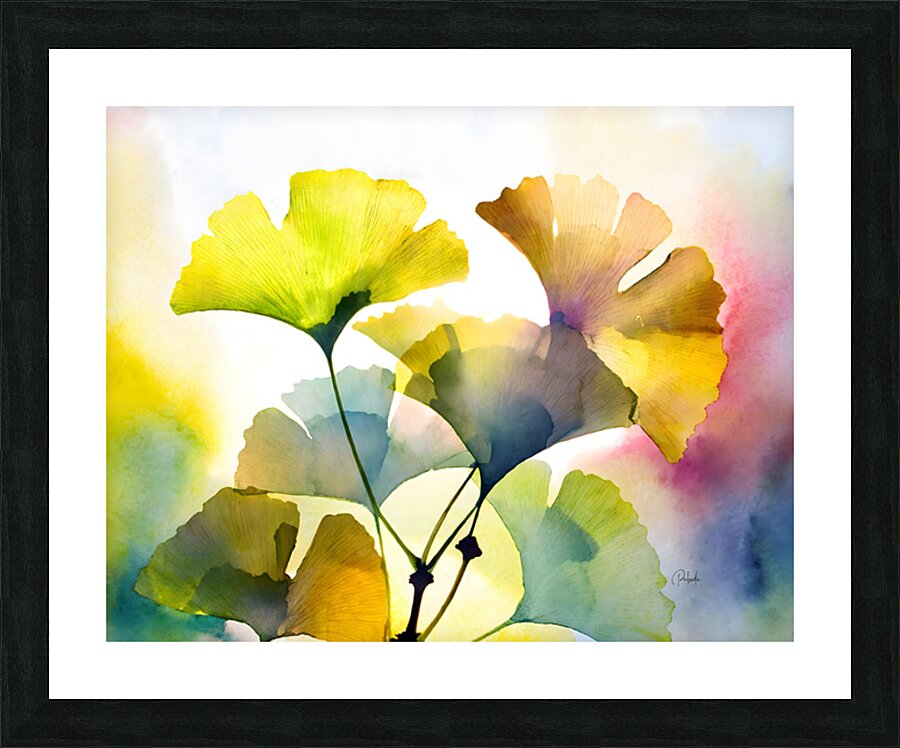 Ginkgo Biloba III Picture Frame print