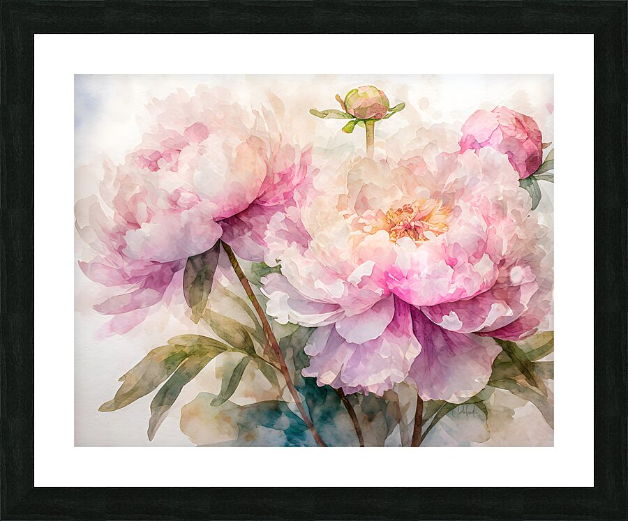 Peonies Watercolor Impression et Cadre photo