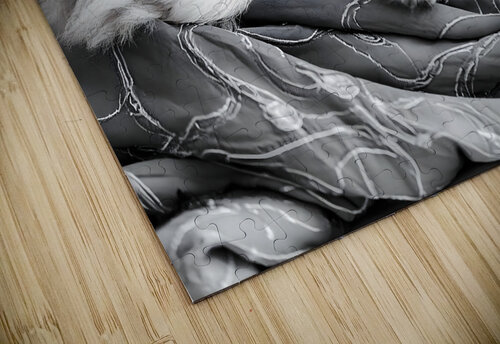 Sweet Dreams Kittens Pabodie Art puzzle