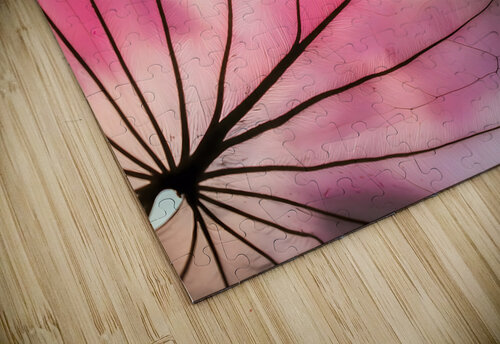 Caladium Colors III Pabodie Art puzzle