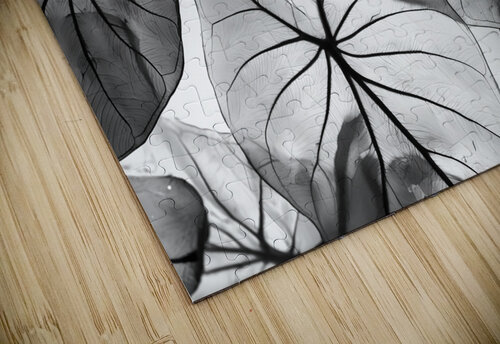 Caladium Leaves in Black and White Pabodie Art puzzle