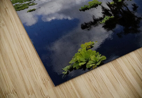 Osprey Reflections Pabodie Art puzzle