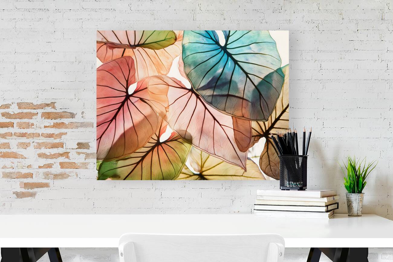 Caladium Colors I Reproduction