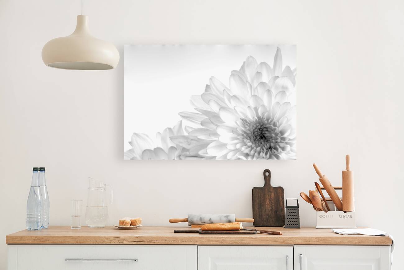 Chrysanthemum in Black & White Reproduction