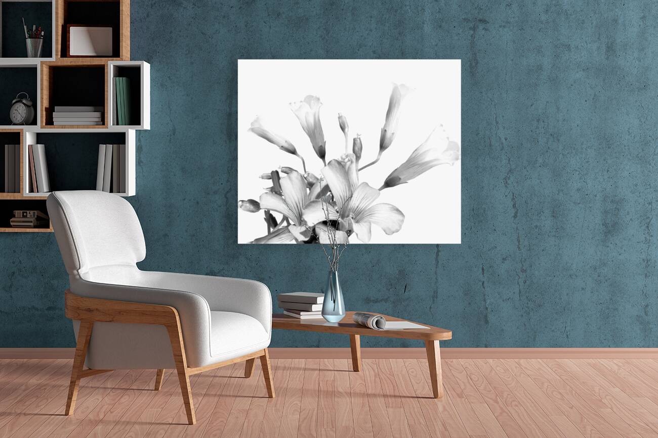 Shamrock Plant Blooms Reproduction