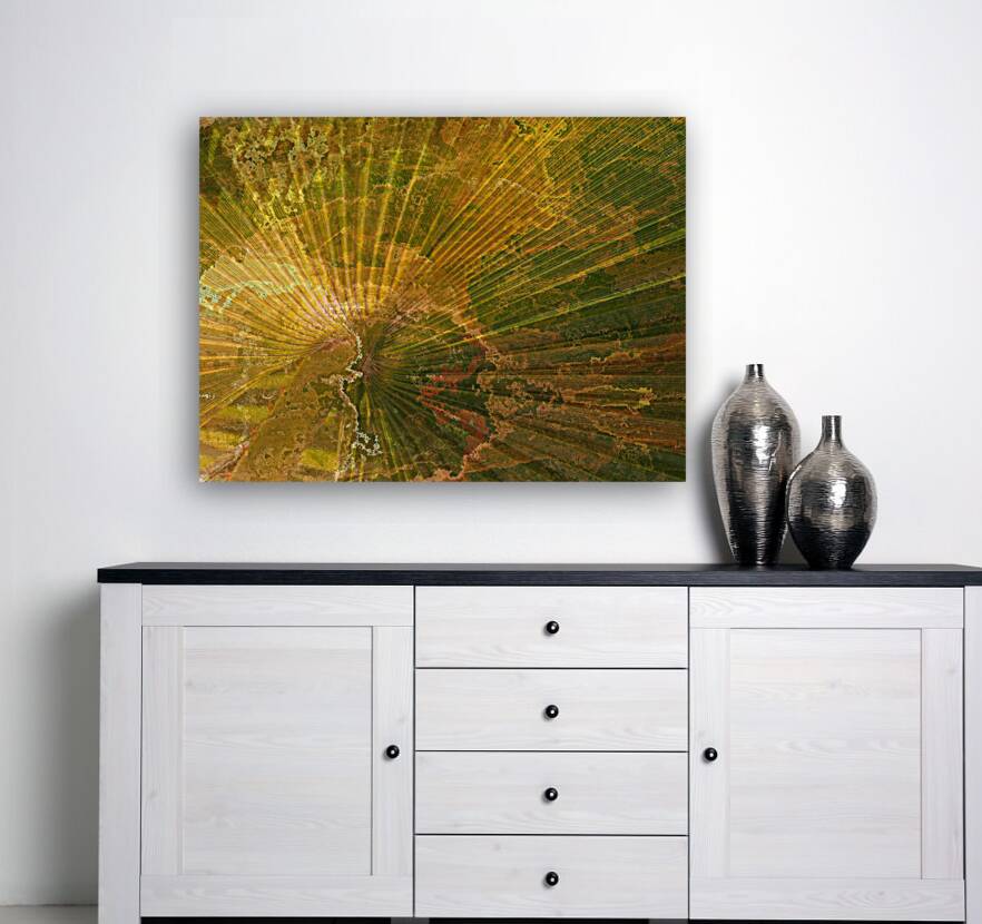 Palm Burst Rays Reproduction