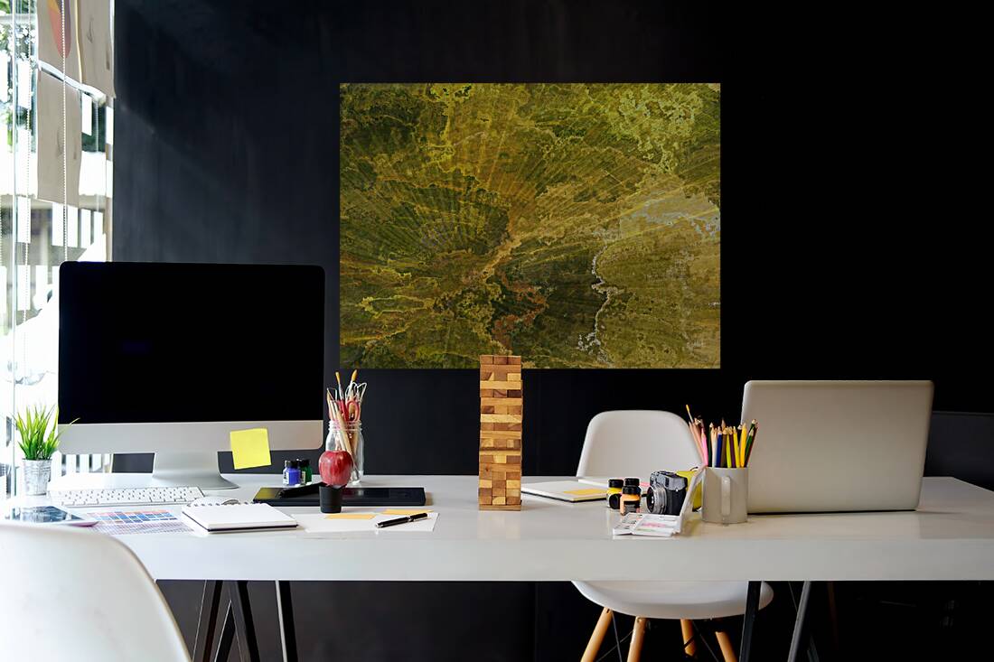 Palm Burst Rays II Reproduction