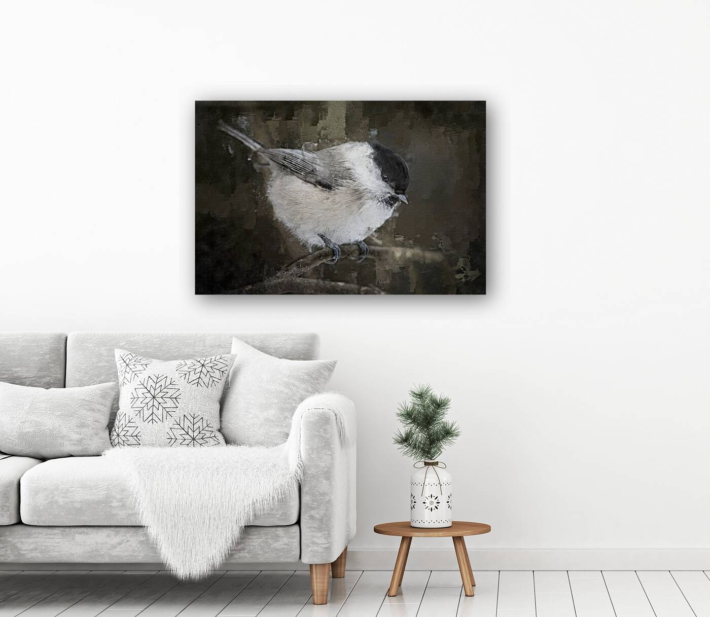 Willow Tit Bird Reproduction