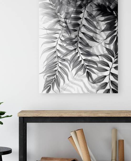 Tropical Transparencies III by Pabodie Art